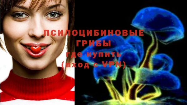 кокаин Вяземский