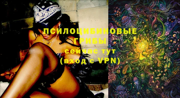 кокаин Вяземский