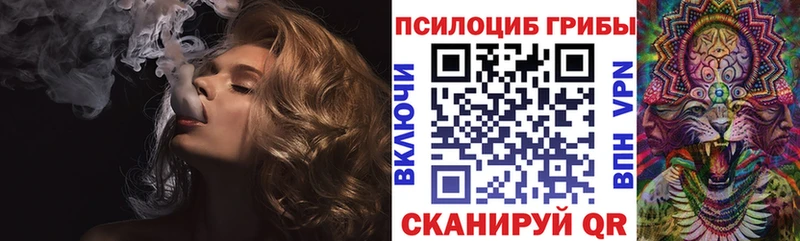KRAKEN сайт Елизаветинская Псилоцибиновые грибы прущие грибы